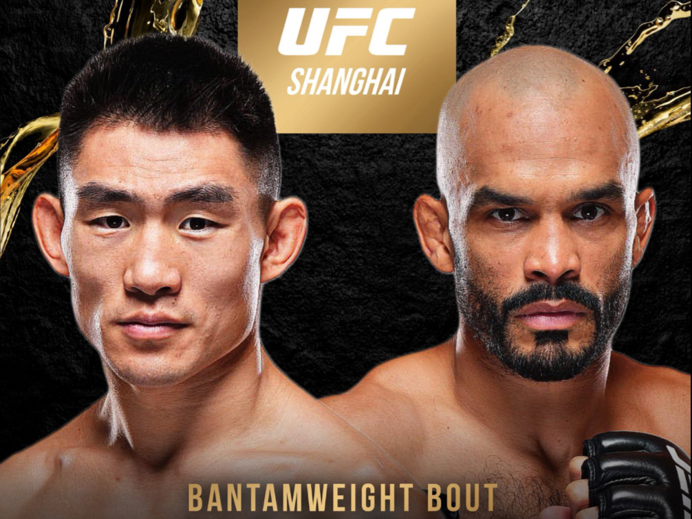 UFC总决赛焦点战：东海麒麟队强势横扫北城旋风队，新星闪耀。观赏性拉满的简单介绍