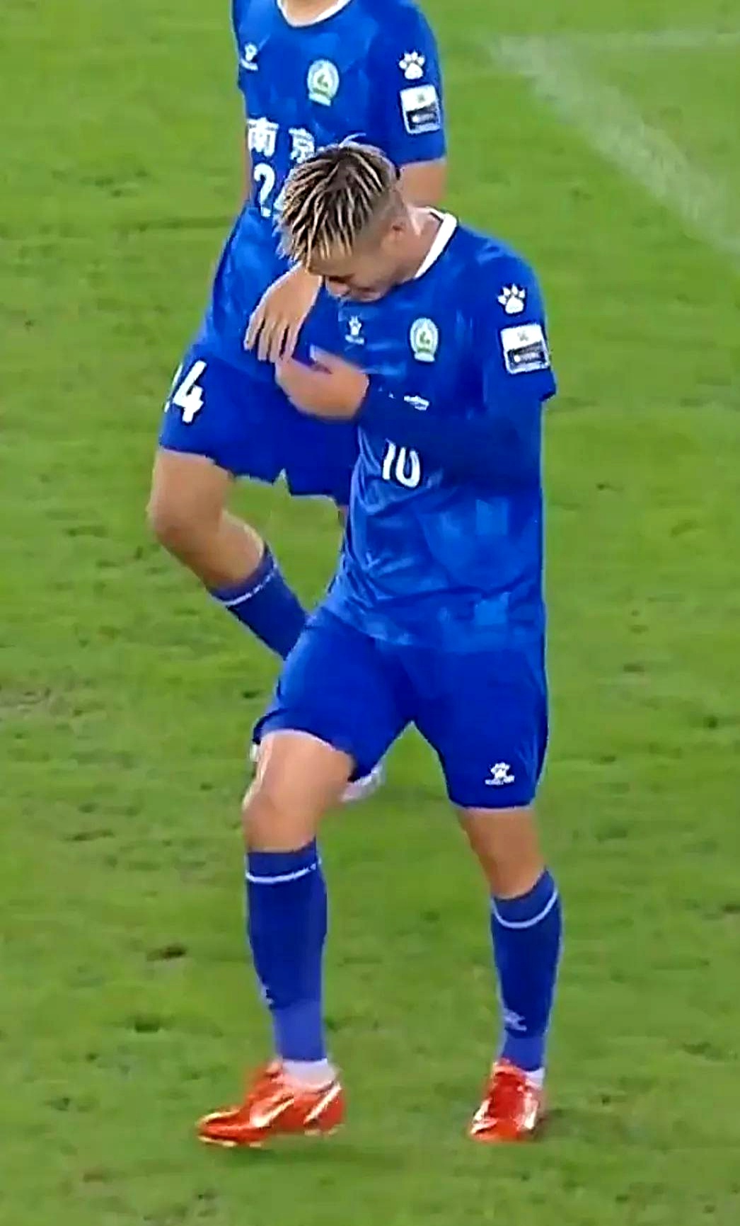 diligence中文翻译