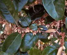 €3鑛狇4CUy<颓?埿的简单介绍